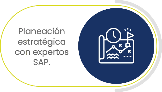 Planeación_SAP