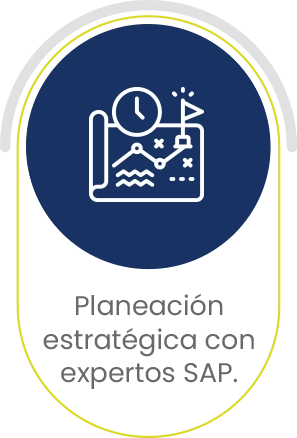 Planeacion_SAP